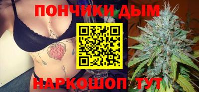 Альфа ПВП Будённовск