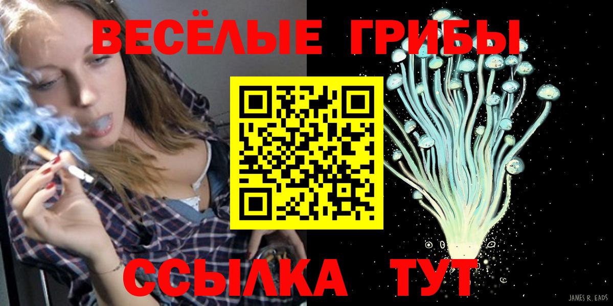 Сатка  Галлюциногенные грибы MAGIC MUSHROOMS  Вход с VPN 