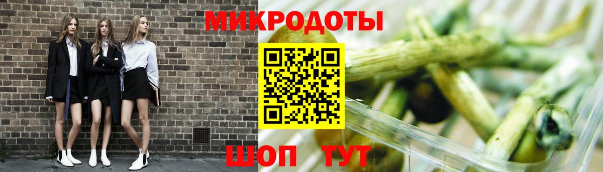 Псилоцибиновые грибы мицелий Сатка